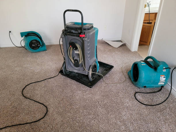 Best Flooded house restoration  in Citrus Springs, FL