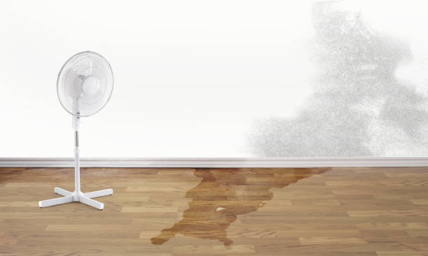 Water damage restoration experts in Citrus Springs, FL
