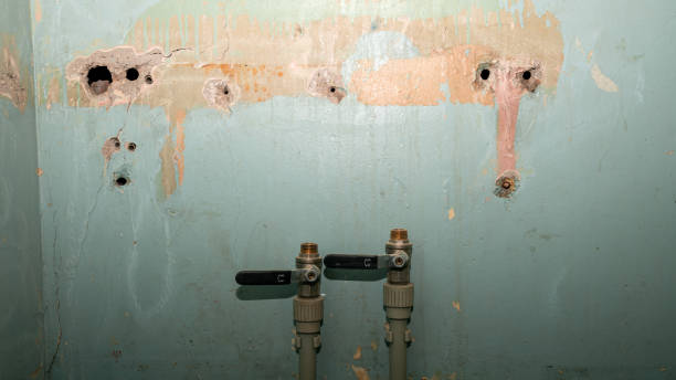 Best Ceiling water damage repair  in Citrus Springs, FL