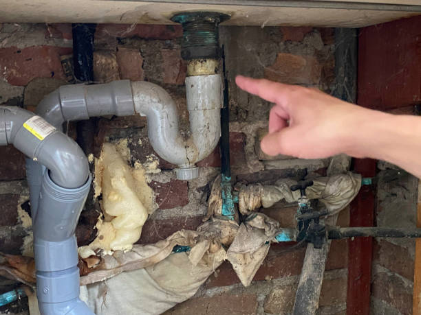 Best Flood damage cleanup  in Citrus Springs, FL