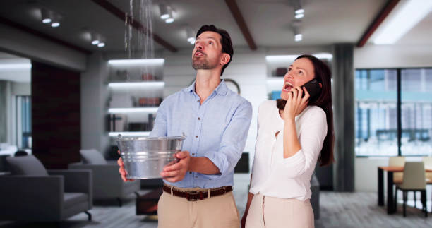 Best Professional water damage repair  in Citrus Springs, FL