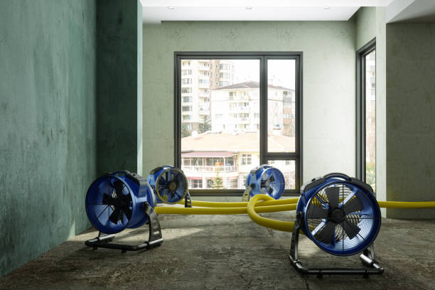 Best Emergency water damage restoration  in Citrus Springs, FL