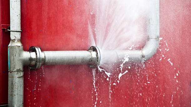 Best Carpet water damage restoration  in Citrus Springs, FL