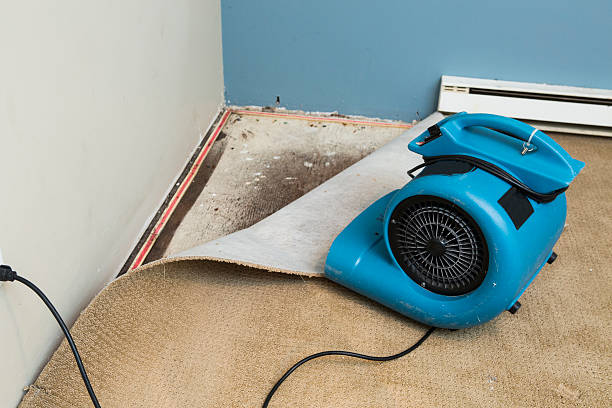 Best 24/7 water damage repair  in Citrus Springs, FL